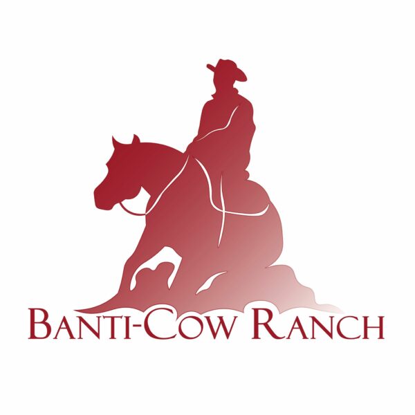 Ausschreibung für das C-Turnier in Bantikow auf der Banti-Cow-Ranch