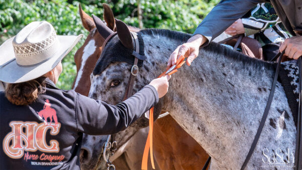 Double-C-Show in Birkholz vom 2.-4. Mai