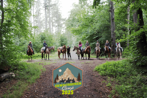 Lernen, Lachen, Lagerfeuer – das Erwachsenencamp 2025 der EWU Berlin-Brandenburg