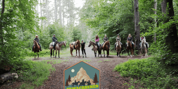 Lernen, Lachen, Lagerfeuer – das Erwachsenencamp 2025 der EWU Berlin-Brandenburg