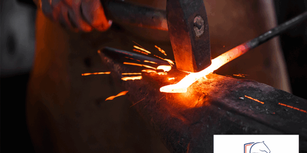 Hufkurs mit dem „Schmiedenden Holländer“