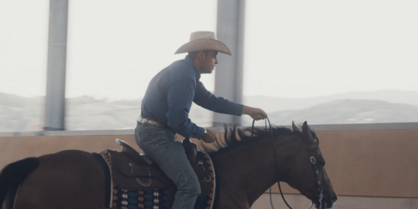 Mental Coaching fürs Turnier: Wenn der Kopf lauter wird als das Training